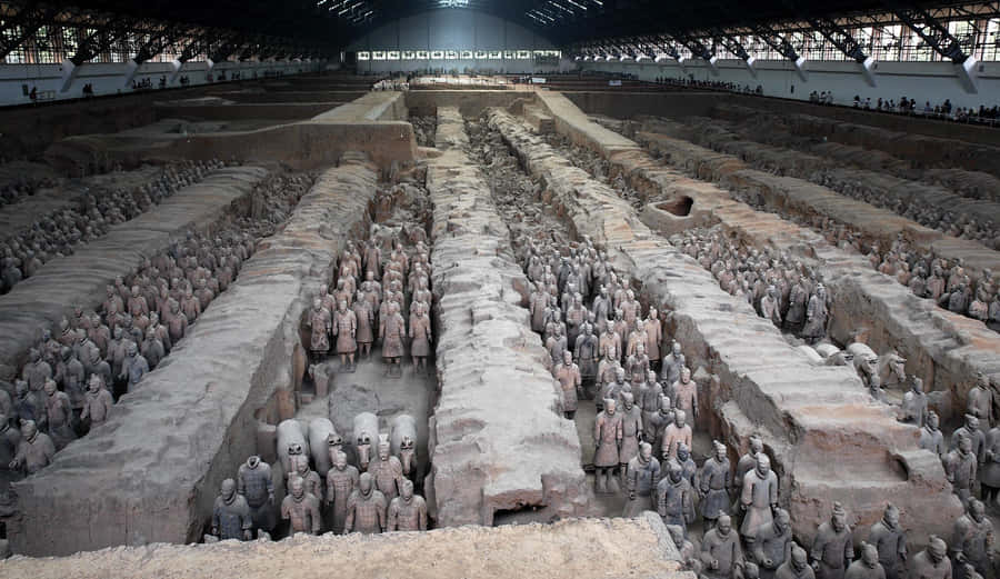 Terracotta Warriors Large Interior Museum Wallpaper
