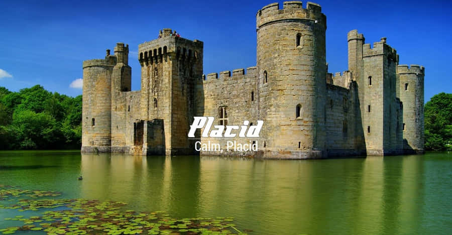 Text Graphics With Placid Synonyms Wallpaper