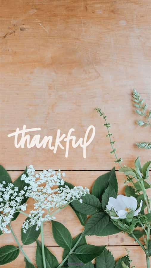 Thankful Flower Flat Lay Wallpaper