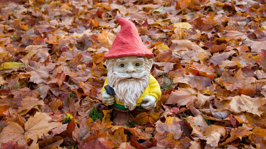 Thanksgiving Gnome In Leaves Wallpaper