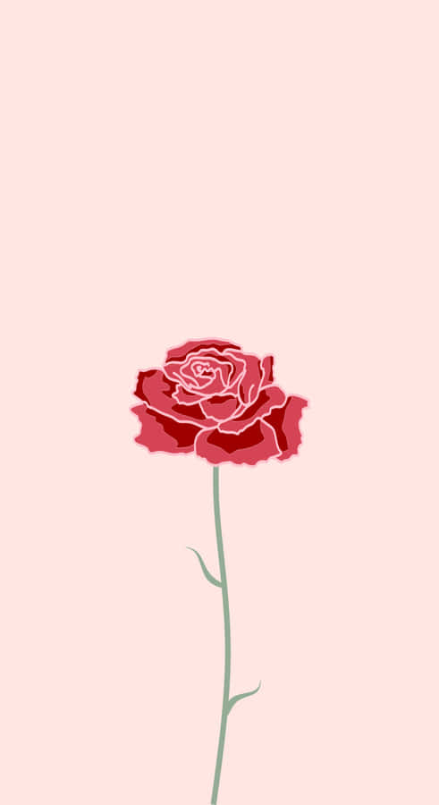 The Beauty Of A Cute Rose Wallpaper