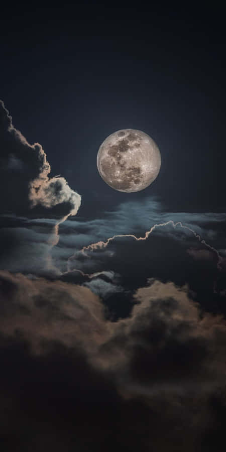 The Beauty Of A Tranquil Moonlit Night