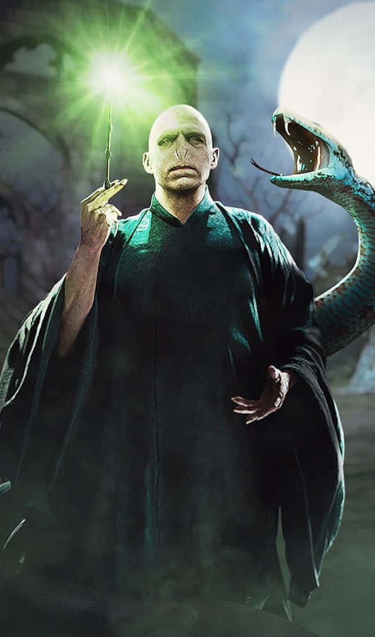 The Chilling Encounter With Nagini In Harry Potter Wallpaper