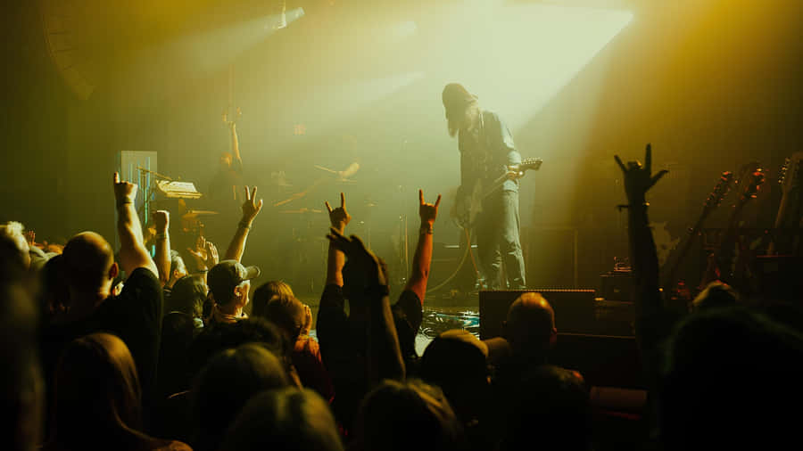 The Dandy Warhols Live Performance Wallpaper