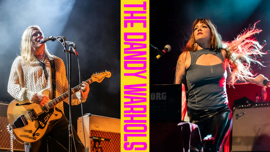 The Dandy Warhols Live Performance Wallpaper