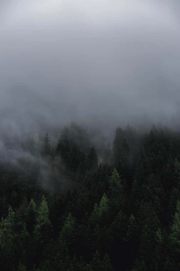 The Dark Unknown Wallpaper