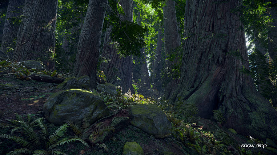 The Division Jungle Wallpaper