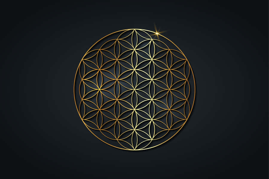'the Flower Of Life Symbol - Representing Power, Balance And Beauty' Wallpaper