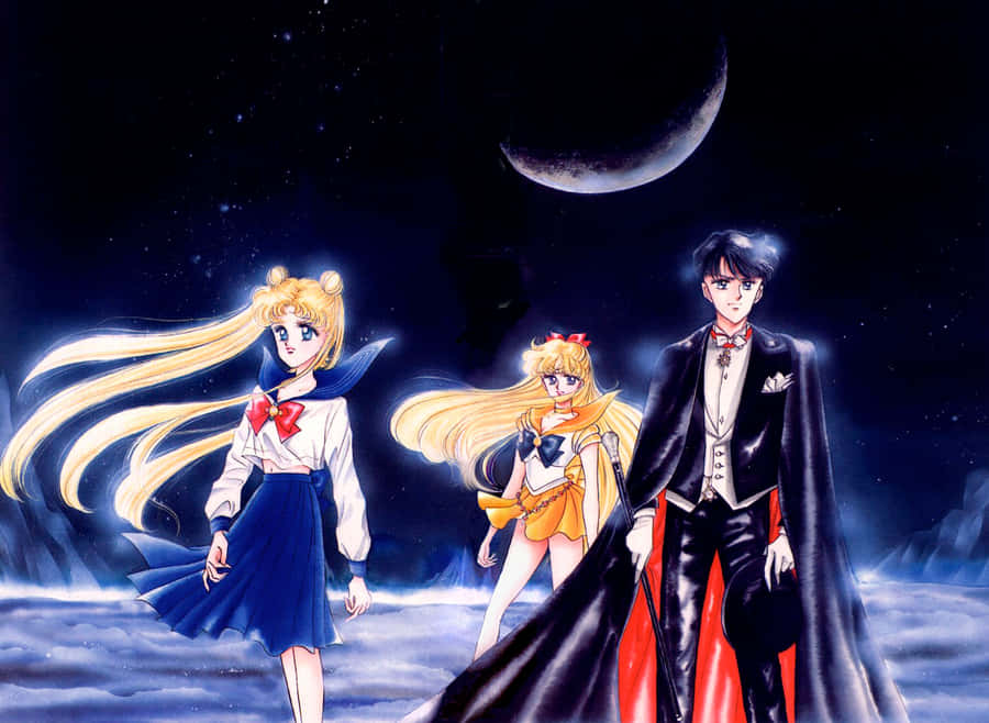 The Guardian Of Love, Sailor Venus Wallpaper