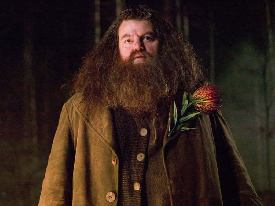 The Hogwarts Professors, Together In One Place Wallpaper