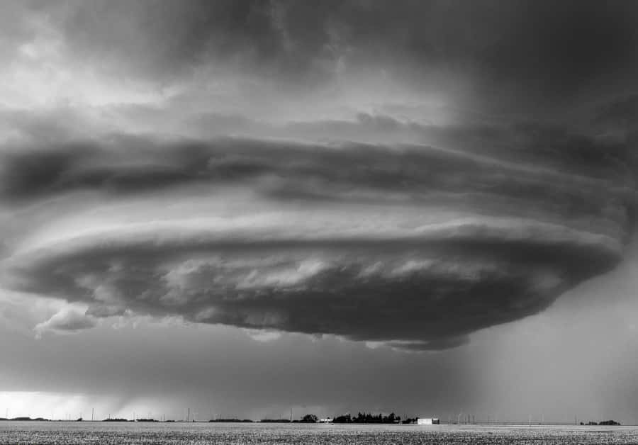 The Intensity Of Nature In Monochrome Wallpaper