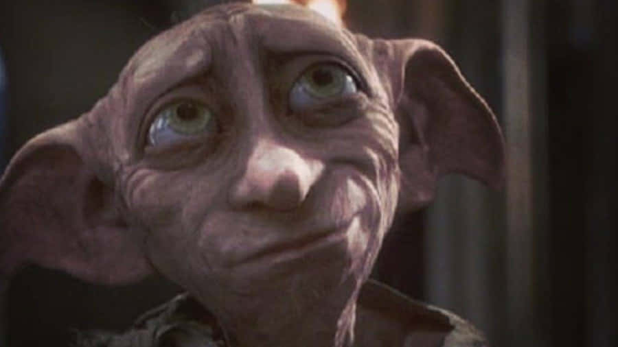 The Loving House Elf, Dobby Wallpaper