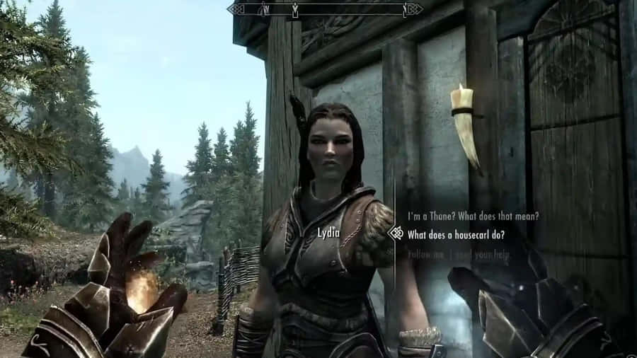 The Loyal Housecarl, Lydia, In The Land Of Skyrim Wallpaper