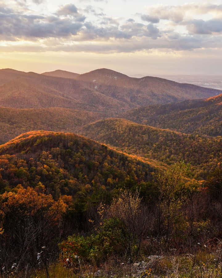 The Magnificent Views Of The Blue Mountains National Park Wallpaper