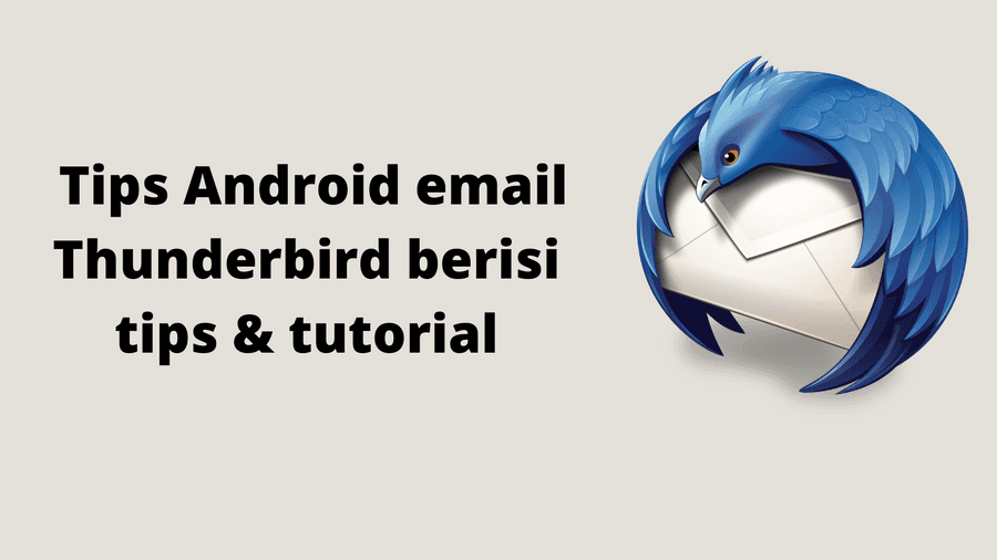 The Majestic Thunderbird Bird Soaring Across The Heavens Wallpaper