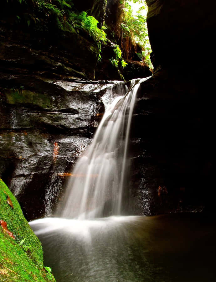 The Natural Beauty Of Blue Mountains National Park. Wallpaper