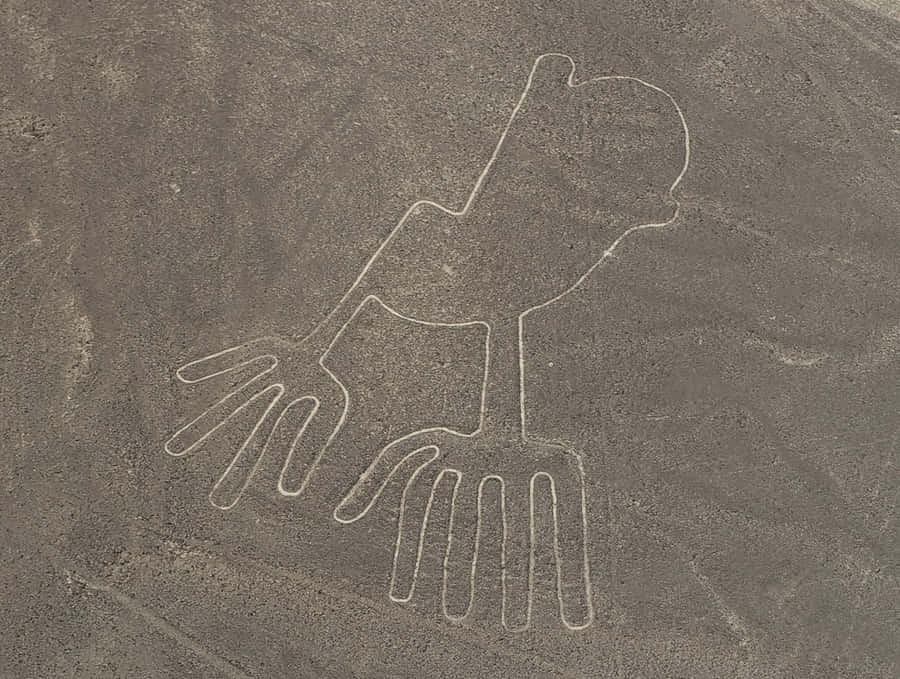 The Nazca Lines Wallpaper