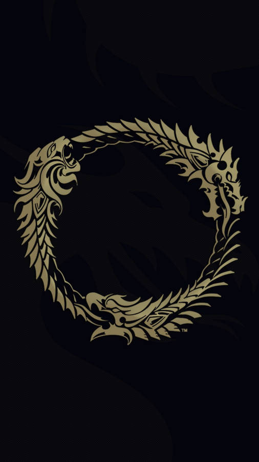 The Ouroboros Of The Elder Scrolls Series Wallpaper