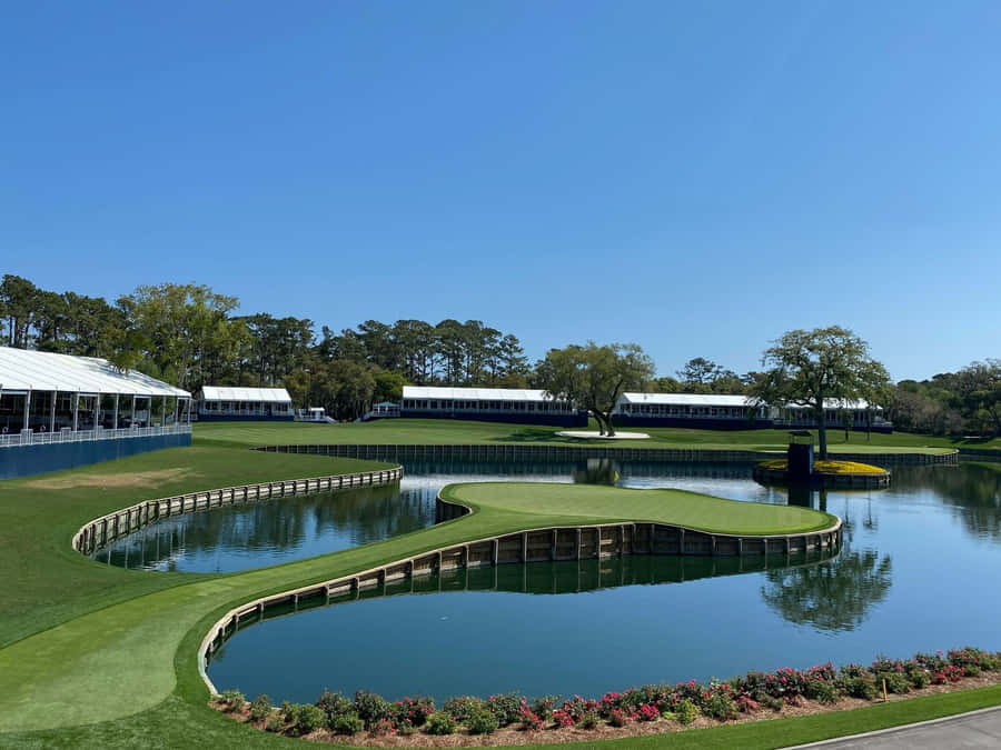 The Players Championship Golf Course View Wallpaper