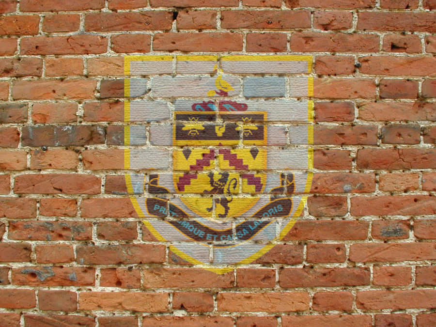 The Players Of Burnley Fc Celebrate Their Victory Wallpaper