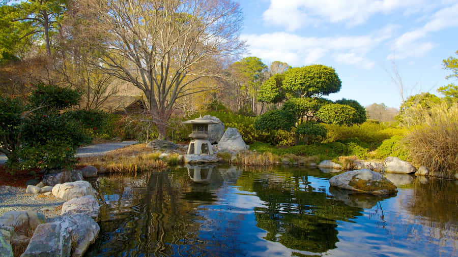 The Pond In The Norfolk Botanical Garden Wallpaper