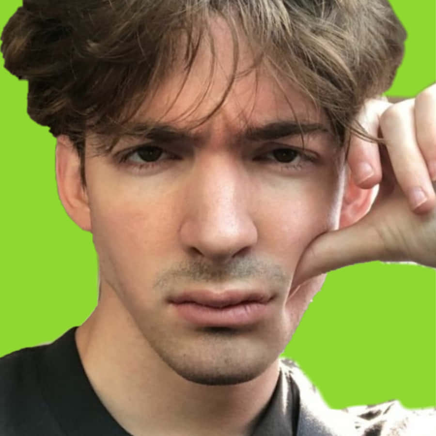 The Reflection Of Grace And Beauty - Flamingo Albert Wallpaper