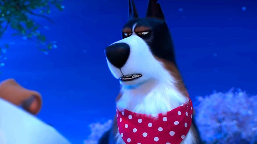 The Secret Life Of Pets 2 Rooster Hd Wallpaper