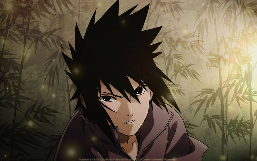 The Young Sasuke Uchiha Wallpaper