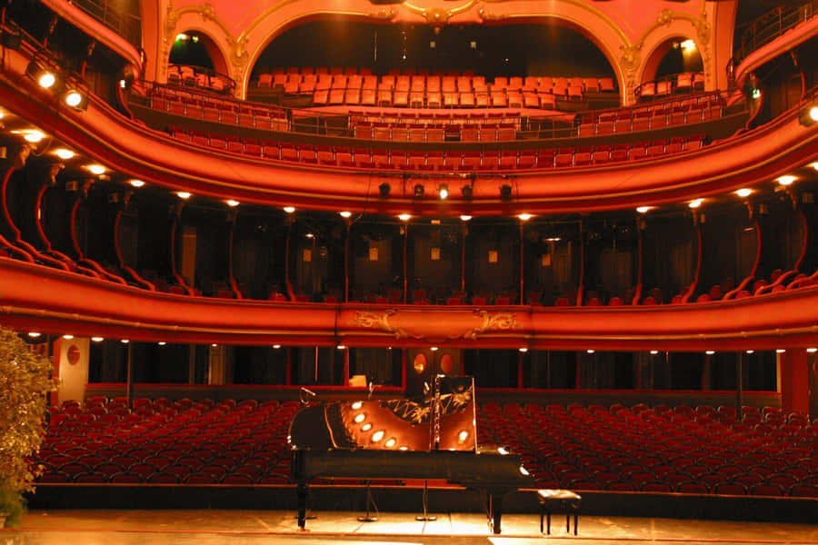 Theatre Du Casino Grand Cercle Wallpaper