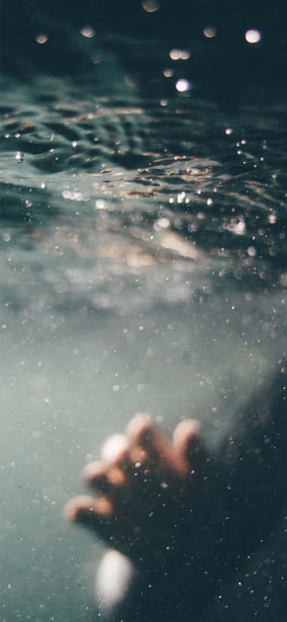 These Water Droplets Wallpaper