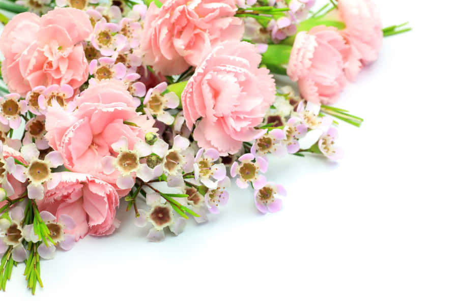 This Mesmerizing Shot Of The Milky Way Galaxy Is A Reminder Of The Vastness Of Space. Wallpaper