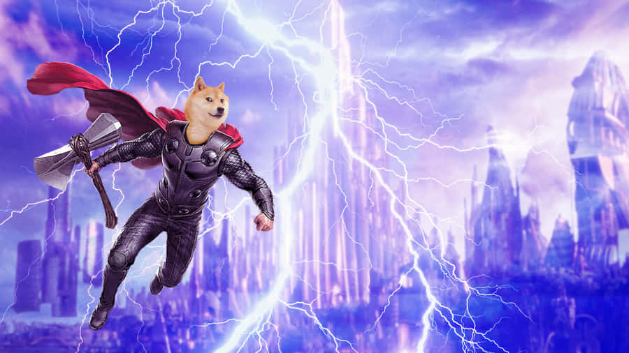 Thor Doge Wallpaper