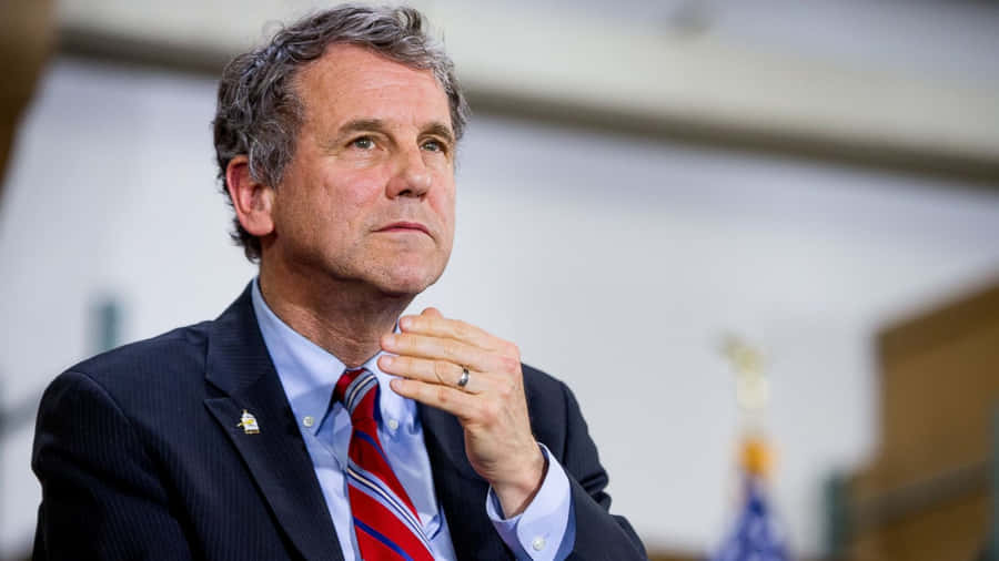 Thoughtful Sherrod Brown Scratching His Neck. Wallpaper