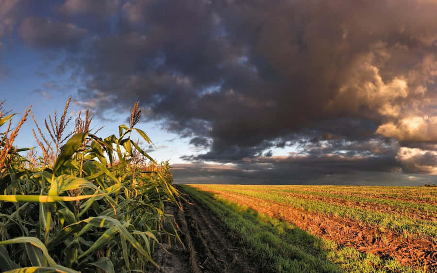 Thoughtful Woman Looking Through The Window Wallpaper