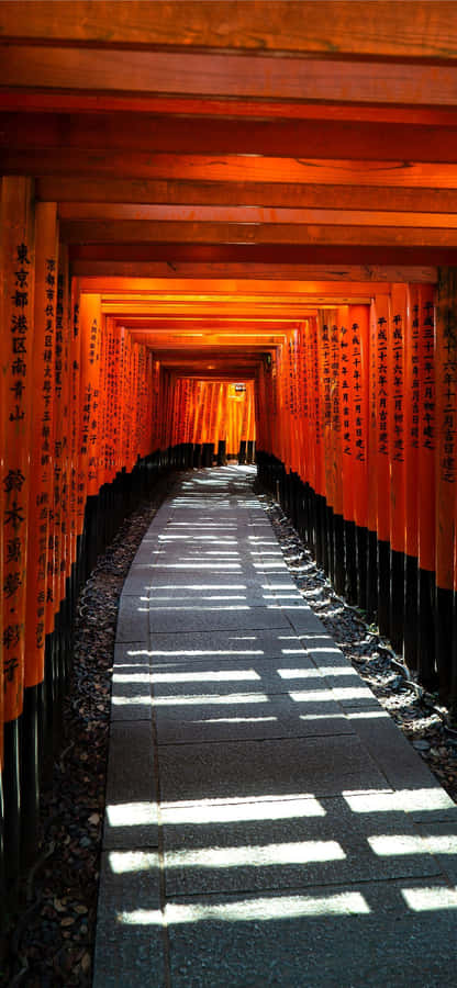 Thousands Torii Gate Japanese Iphone Wallpaper