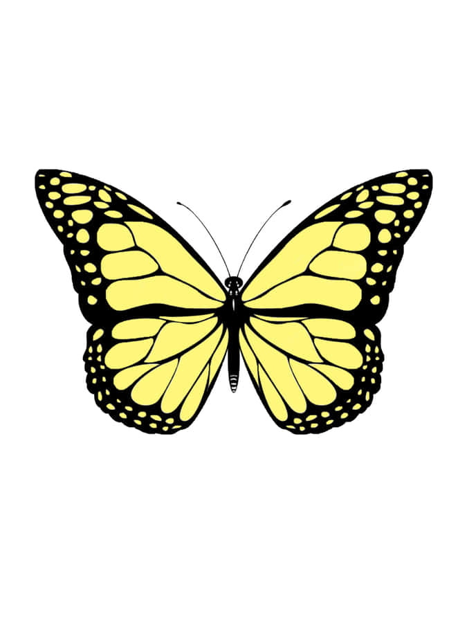 Three Cute Yellow Butterflies In Flight Wallpaper