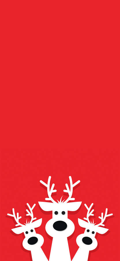 Three White Deer Christmas Iphone Wallpaper