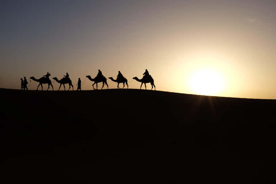 Three Wise Men Journey Wallpaper