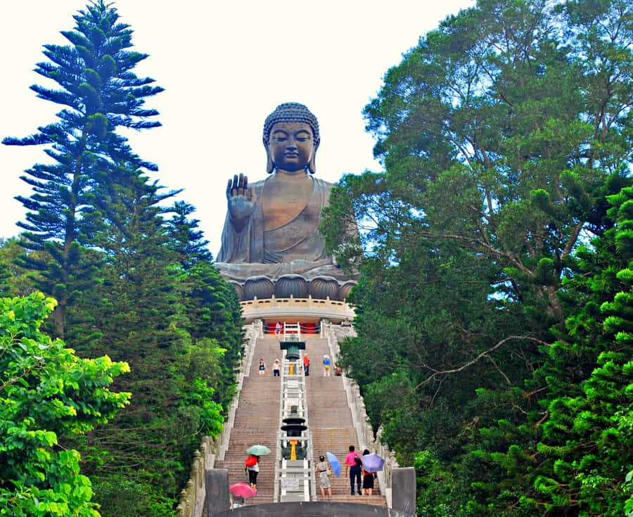 Tian Tan Buddha Wallpaper