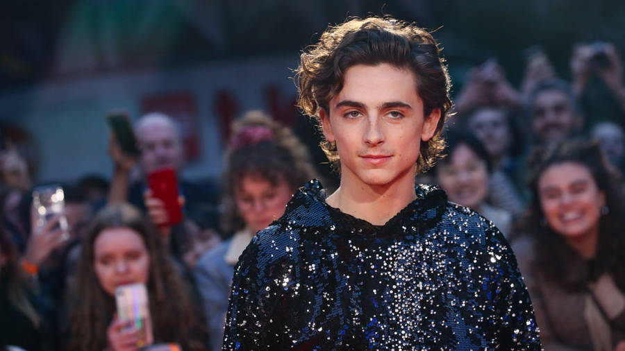 Timothée Chalamet Fancy Sequin Outfit Wallpaper
