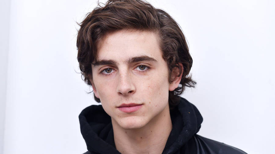 Timothée Chalamet Minimalistic Photograph Wallpaper