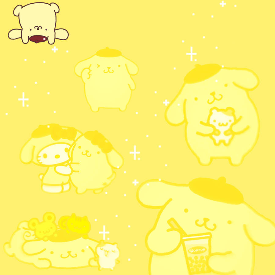 Tiny Pompompurin Wallpaper