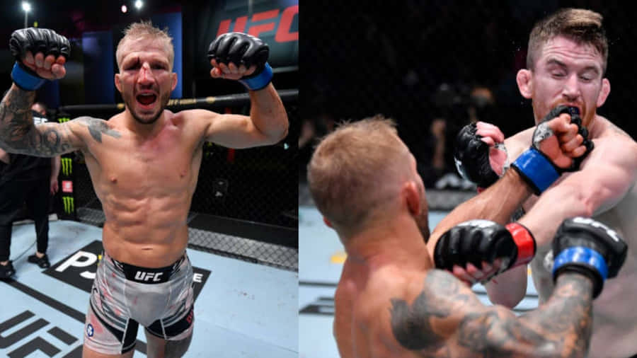 Tj Dillashaw And Cory Sandhagen Wallpaper