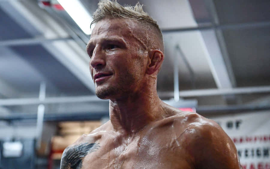 Tj Dillashaw Engaged In High-intensity Training Wallpaper