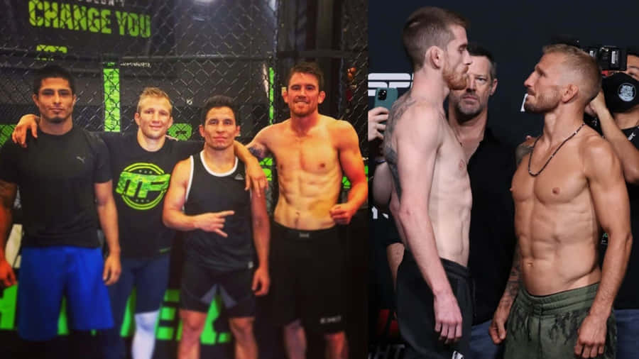 Tj Dillashaw Faces Off Against Opponent During Match Wallpaper