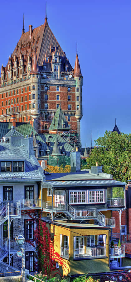 Together We Will Thrive Wallpaper