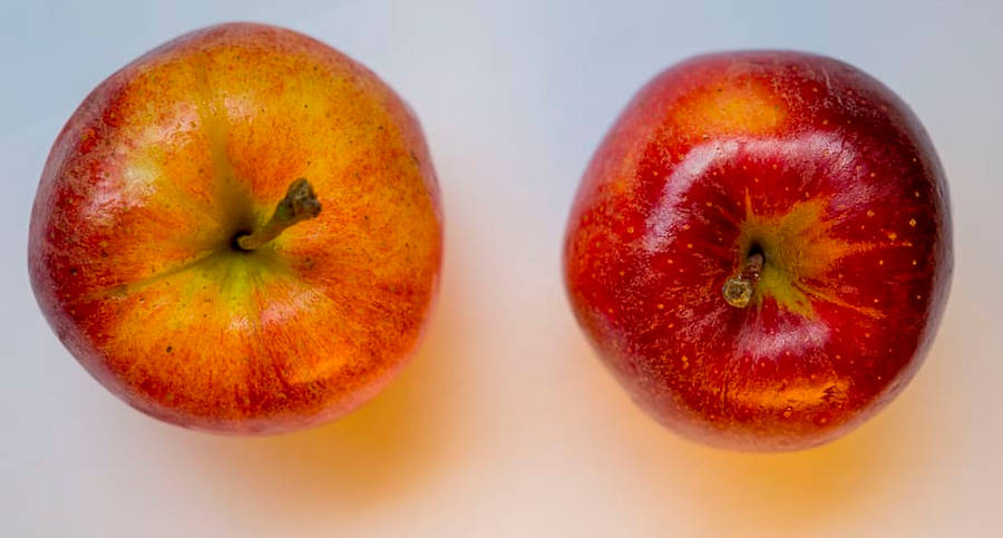Tonal Colors Of Two Ripe Apples Wallpaper