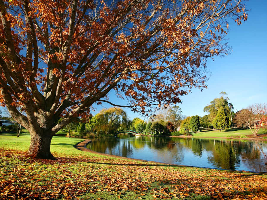 Toowoomba's Beautiful Cityscape At Sunset Wallpaper