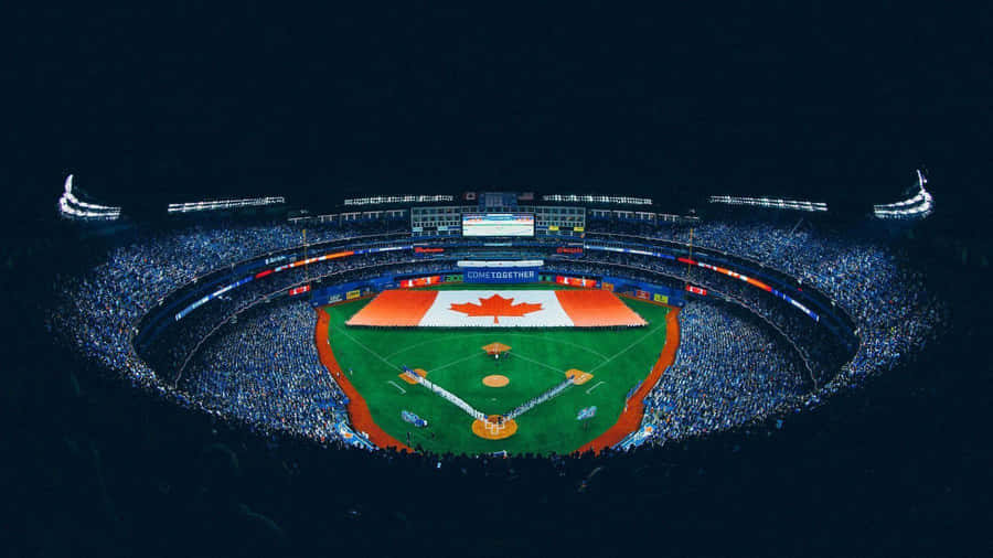 Toronto Blue Jays Win One For The Fans Wallpaper