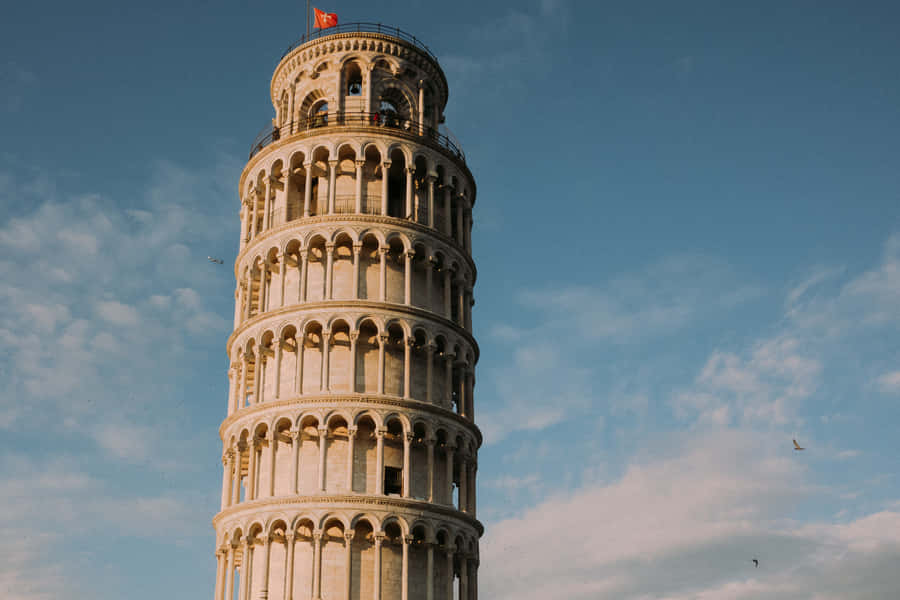 Tower Of Pisa During Summer Wallpaper